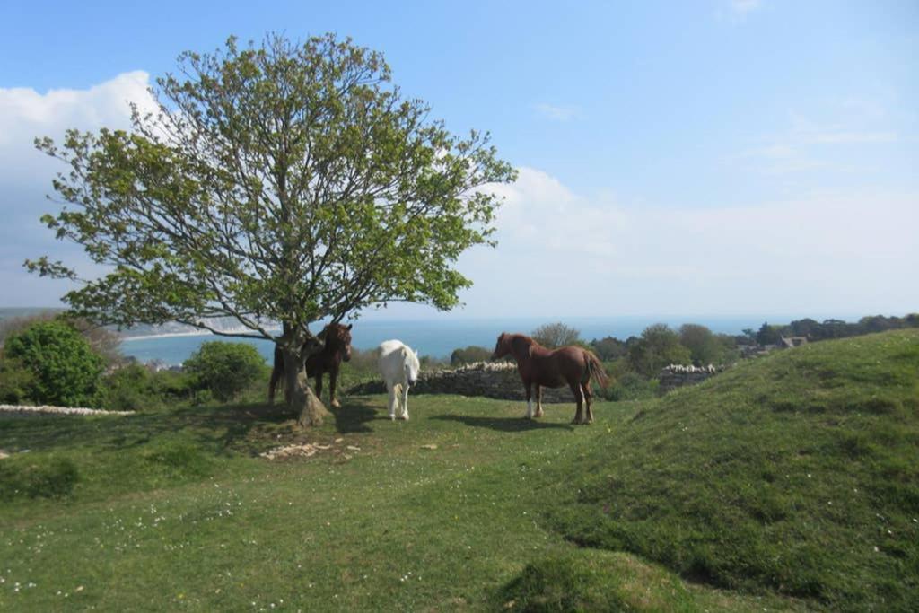 225 Buttercup Swanage Bay View - Vacation Home Εξωτερικό φωτογραφία
